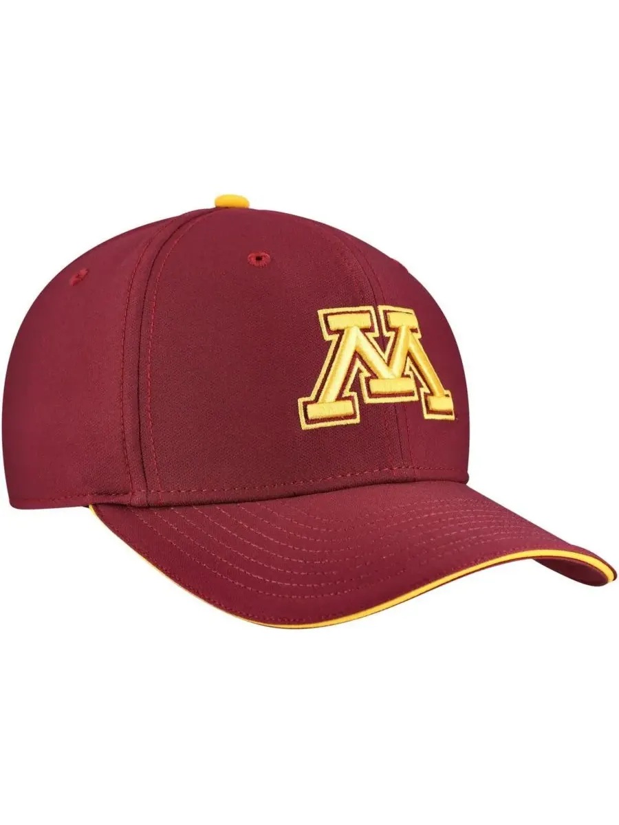 Nike Мужская бордовая бейсболка Minnesota Golden Gophers Rise Performance Flex Hat — изображение 4 из 5, коричневый