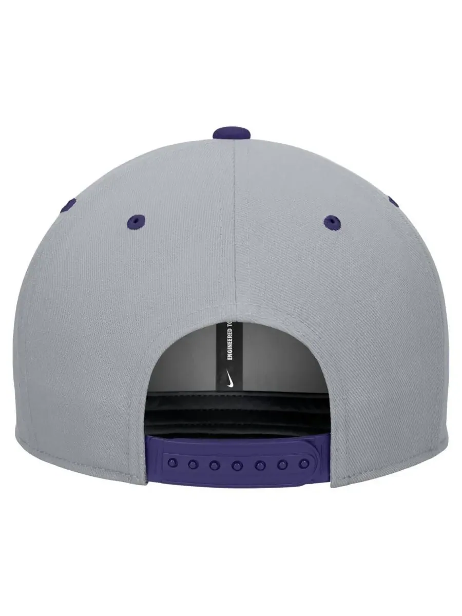 Nike Мужская бело-серая бейсболка TCU Horned Frogs Pro Performance Snapback — изображение 2 из 3, белый серый