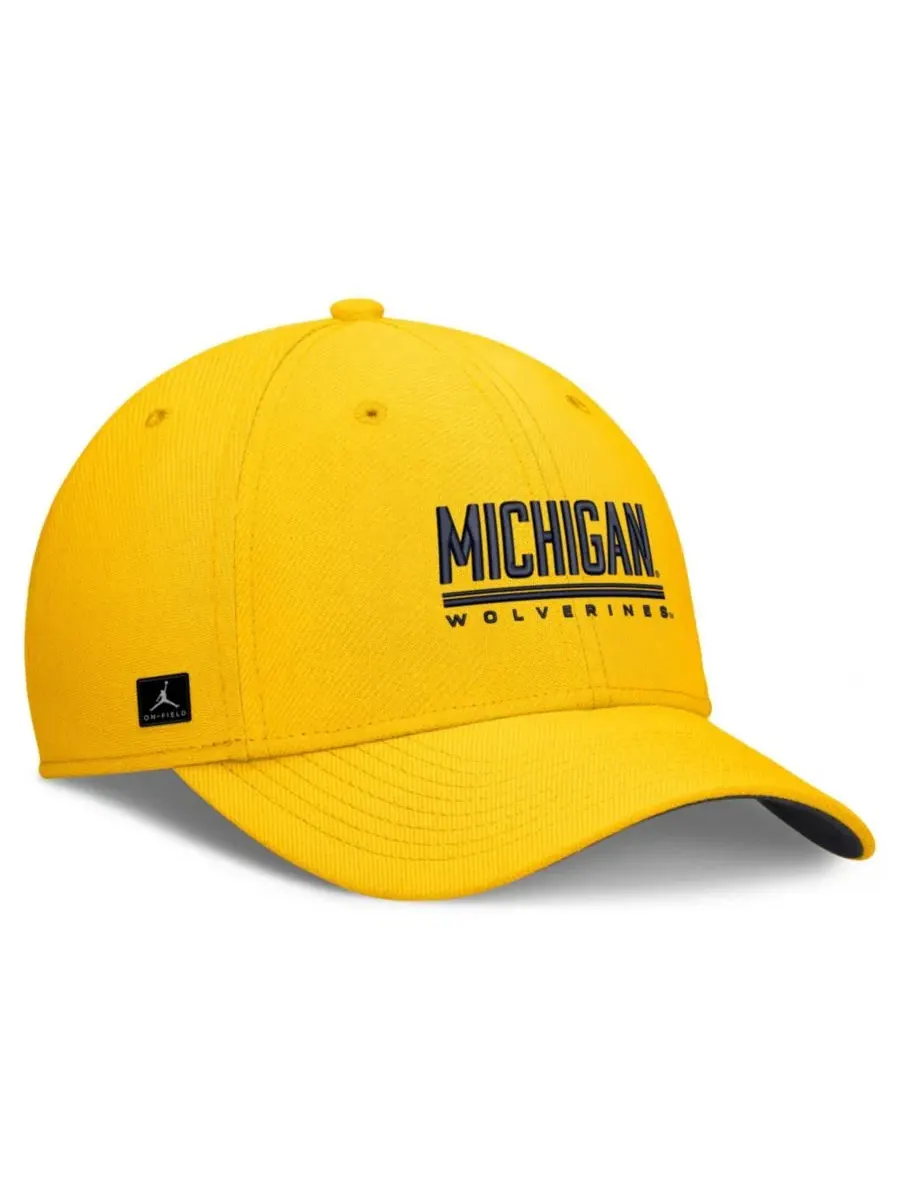Бейсболка Jordan Michigan Wolverines Game Day Rise Swooshflex — изображение 4 из 5, желтый