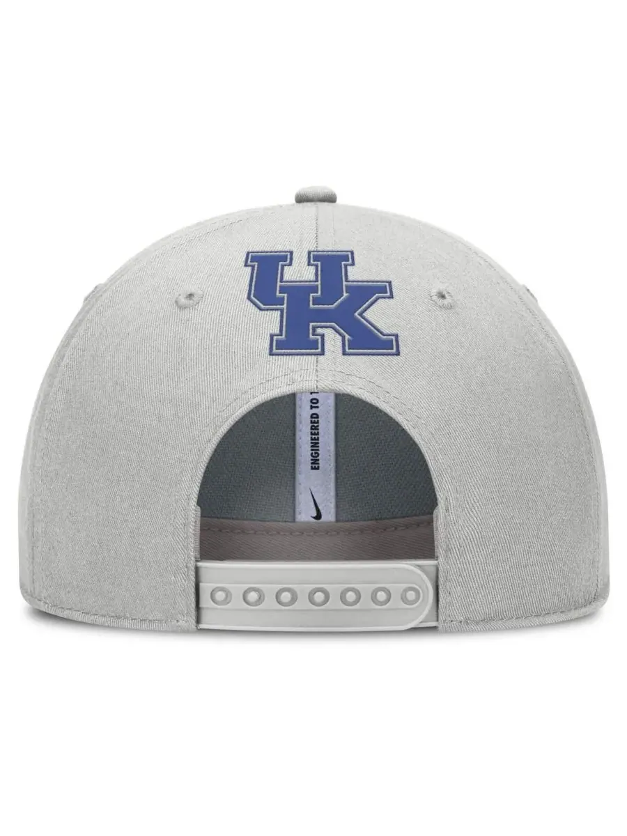 Nike Мужская серая бейсболка Kentucky Wildcats 2025 Sideline Dust с регулируемой высотой и — изображение 4 из 4, серый