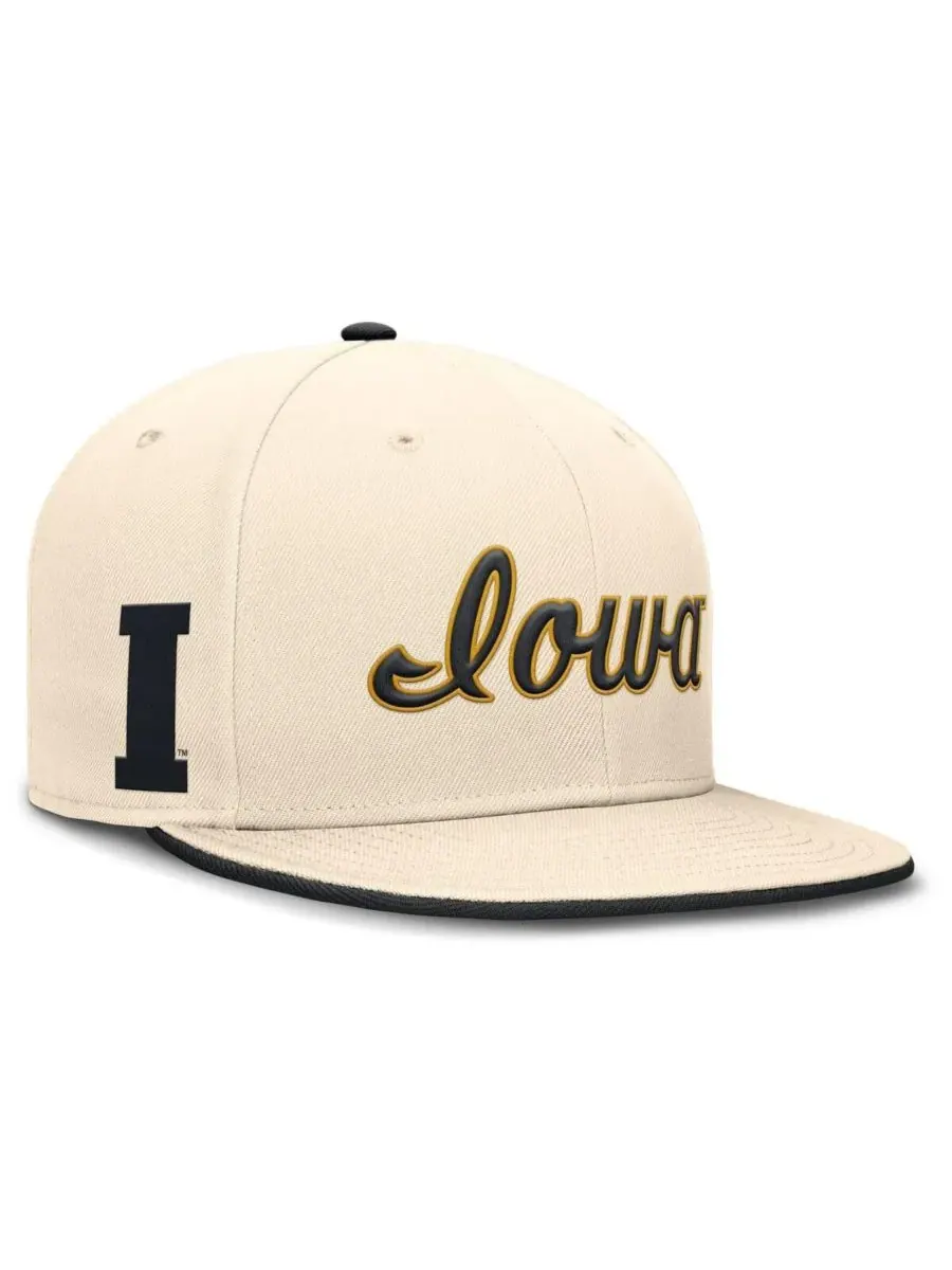 Мужская бейсболка Natural Iowa Hawkeyes Primetime True Performance Fitted Hat Nike — изображение 1 из 5, прозрачный