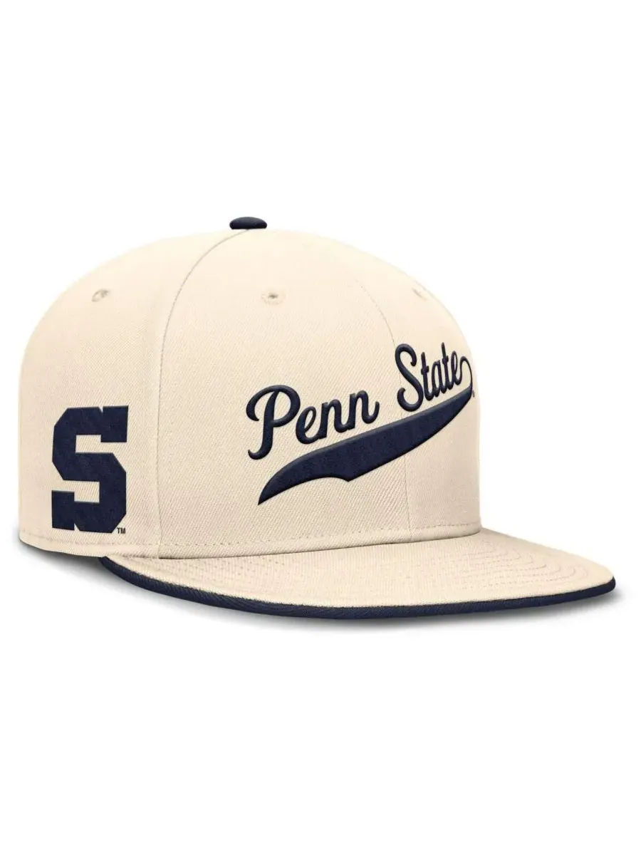Мужская бейсболка Natural Penn State Nittany Lions Primetime True Performance Fitted Hat Nike — изображение 1 из 5