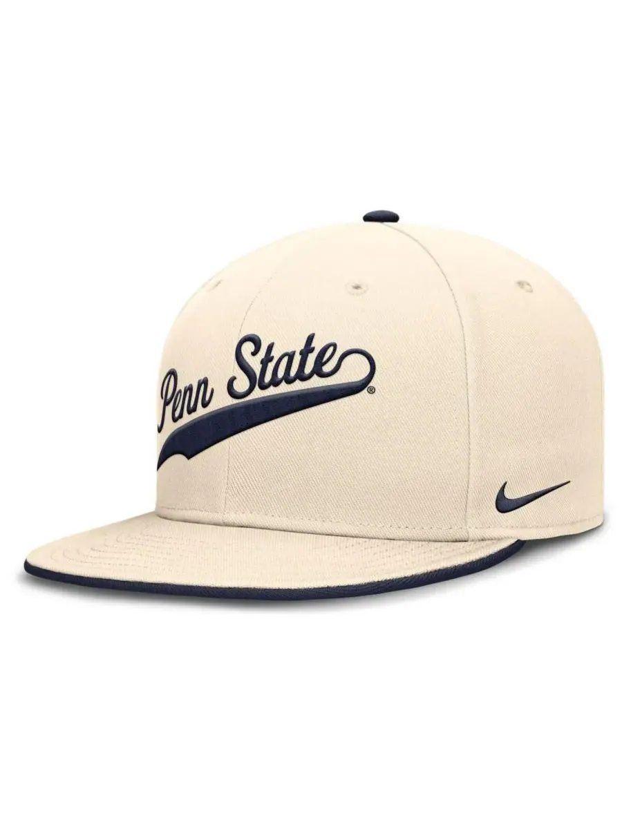 Мужская бейсболка Natural Penn State Nittany Lions Primetime True Performance Fitted Hat Nike — изображение 3 из 5