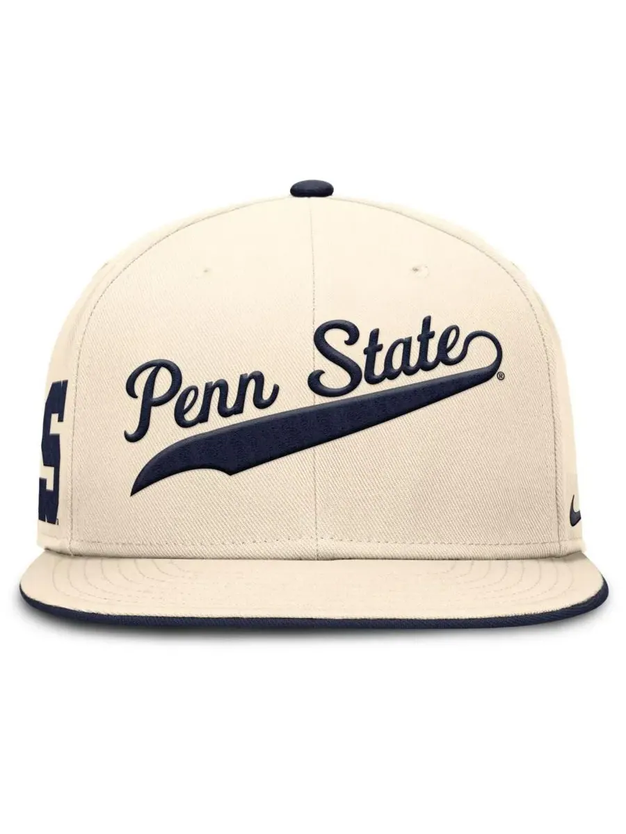 Мужская бейсболка Natural Penn State Nittany Lions Primetime True Performance Fitted Hat Nike — изображение 4 из 5