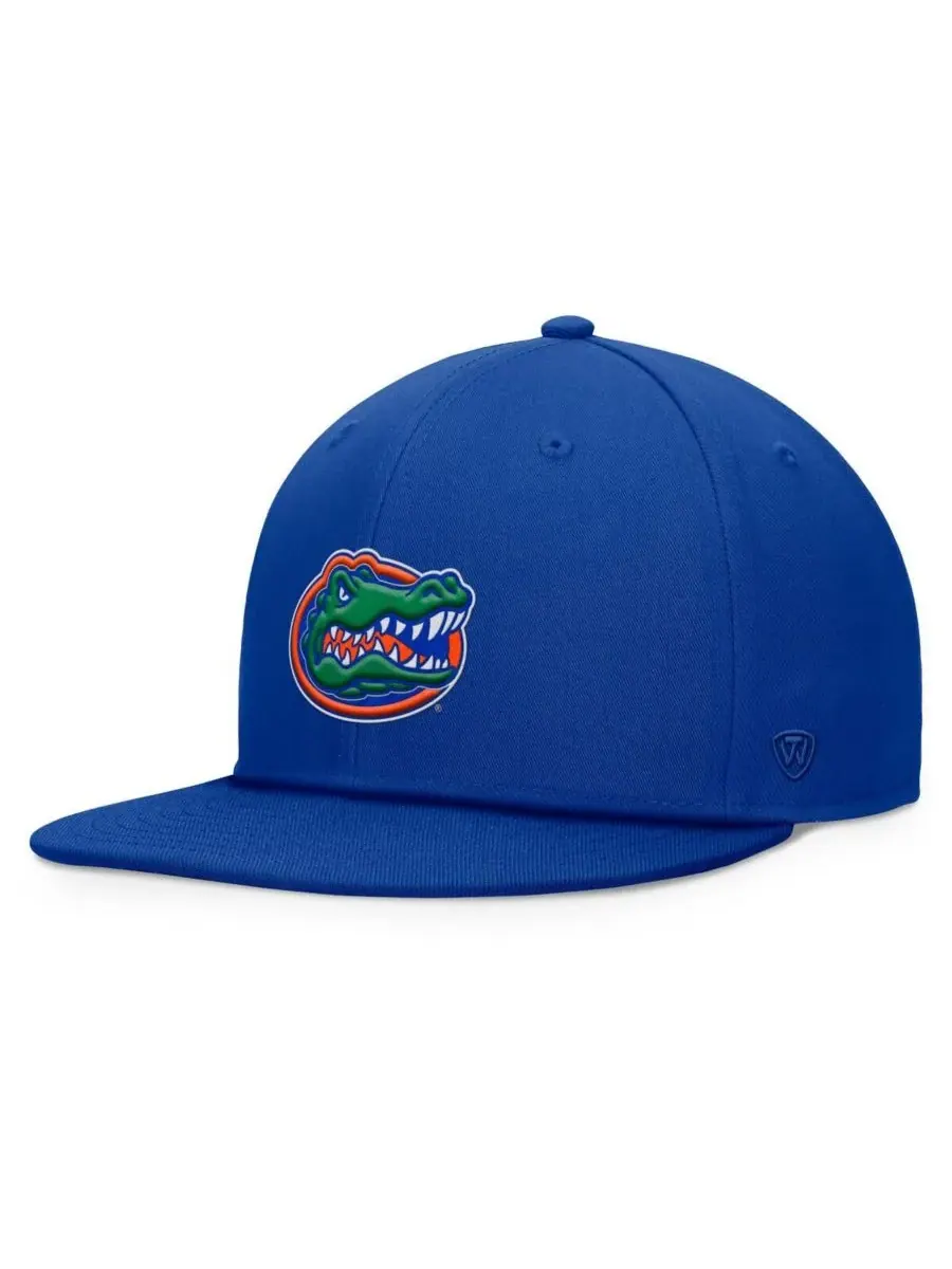 Мужская бейсболка Royal Florida Gators Fundamental Snapback Top of the World — изображение 1 из 4, королевский