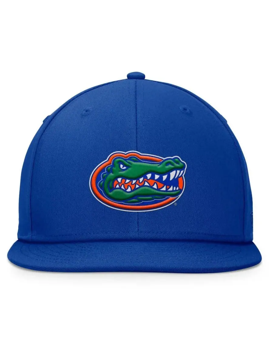 Мужская бейсболка Royal Florida Gators Fundamental Snapback Top of the World — изображение 2 из 4, королевский