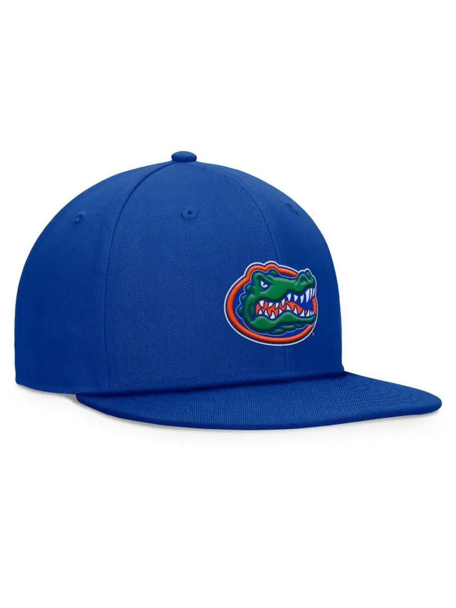 Мужская бейсболка Royal Florida Gators Fundamental Snapback Top of the World — изображение 3 из 4, королевский