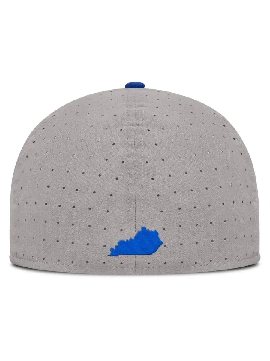 Nike Мужская серая бейсболка Kentucky Wildcats On-Field Dugout True Performance Fitted Hat — изображение 2 из 5, серый