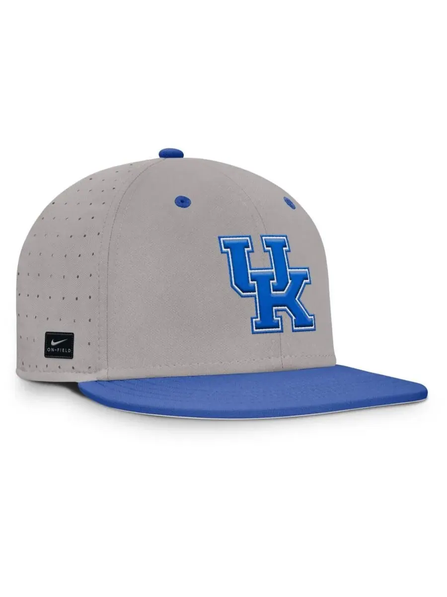 Nike Мужская серая бейсболка Kentucky Wildcats On-Field Dugout True Performance Fitted Hat — изображение 4 из 5, серый