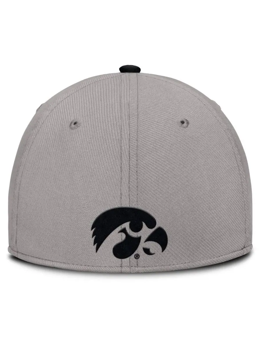 Nike Мужская серая бейсболка Iowa Hawkeyes Rise Prep Performance Flex Hat — изображение 4 из 4, серый