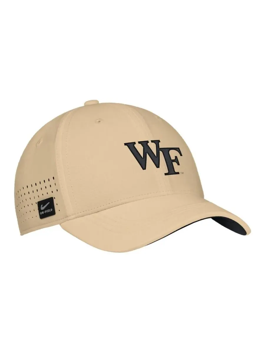 Мужская золотистая бейсболка Wake Forest Demon Deacons 2025 On-Field Performance Flex Hat Nike — изображение 1 из 3, золото
