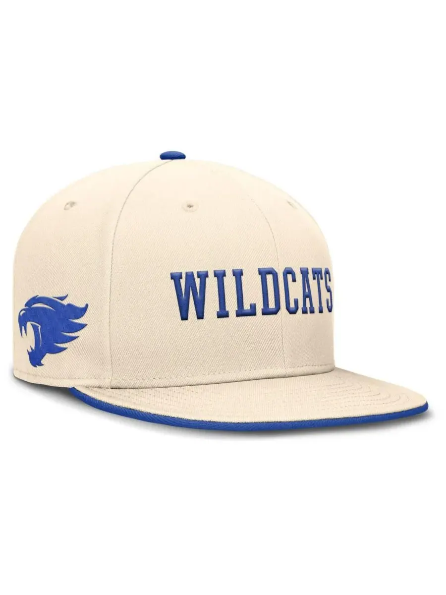 Мужская бейсболка Natural Kentucky Wildcats Primetime True Performance Fitted Hat Nike — изображение 1 из 5, прозрачный