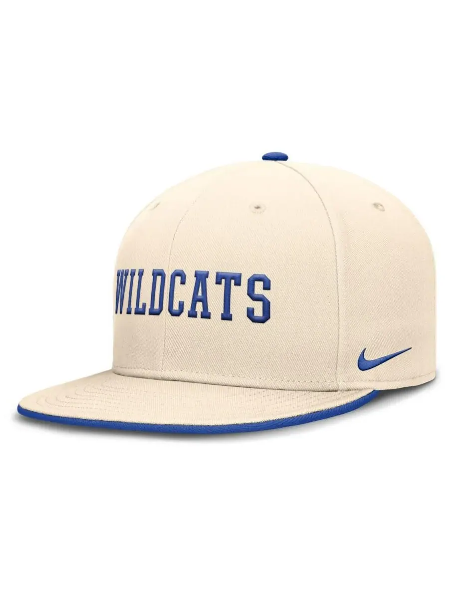 Мужская бейсболка Natural Kentucky Wildcats Primetime True Performance Fitted Hat Nike — изображение 3 из 5, прозрачный