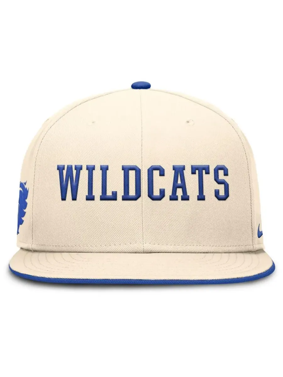 Мужская бейсболка Natural Kentucky Wildcats Primetime True Performance Fitted Hat Nike — изображение 5 из 5, прозрачный