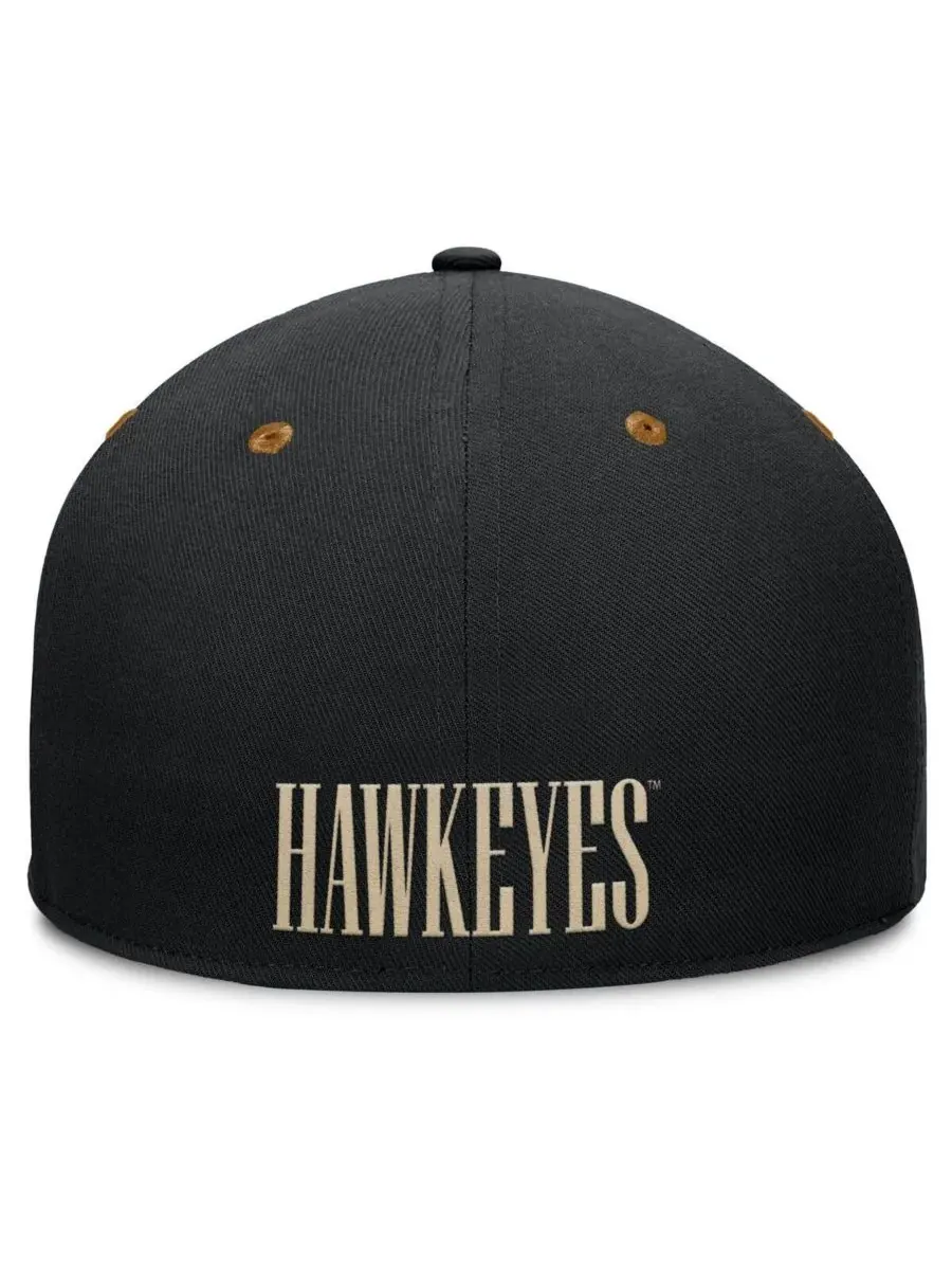 Fanatics Мужская кепка Iowa Hawkeyes NoBo Fitted Hat — изображение 3 из 4, черный коричневый