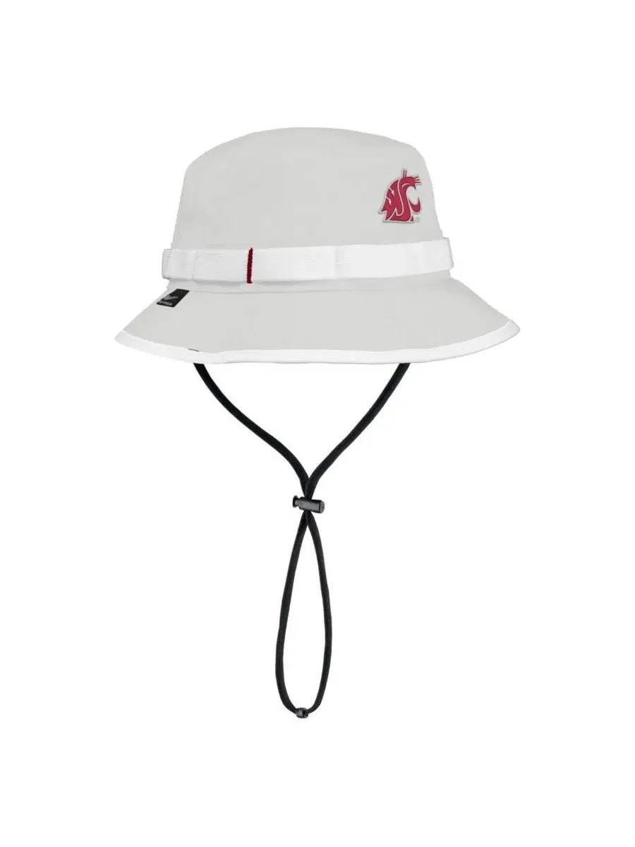 Nike Мужская серая панама Washington State Cougars 2025 On-Field Performance — изображение 1 из 2, серый
