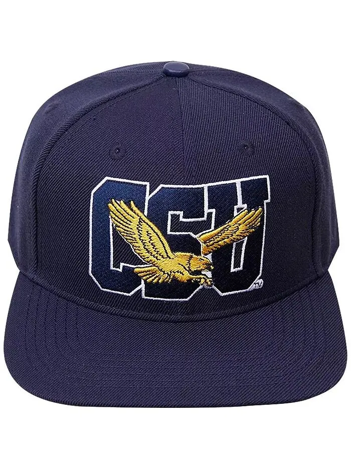 Мужская темно-синяя кепка Coppin State Eagles Evergreen CSU Snapback Pro Standard