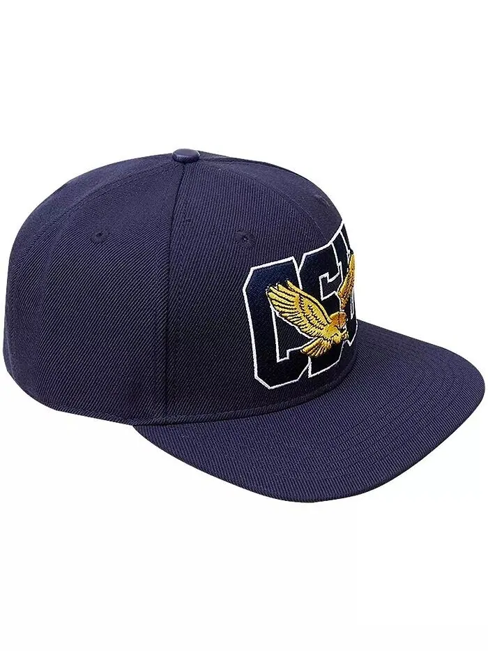 Мужская темно-синяя кепка Coppin State Eagles Evergreen CSU Snapback Pro Standard — изображение 2 из 2