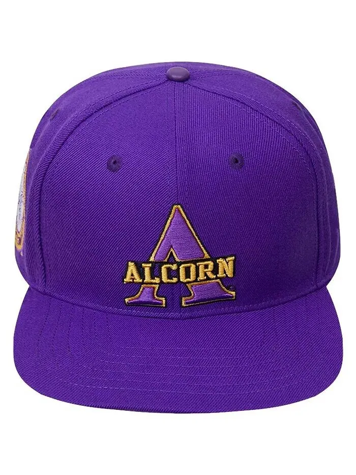 Мужская фиолетовая кепка с логотипом Alcorn State Braves Evergreen Primary Snapback Pro Standard — изображение 2 из 3