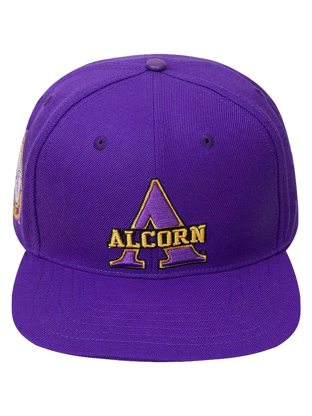 Мужская фиолетовая кепка с логотипом Alcorn State Braves Evergreen Primary Snapback Pro Standard — изображение 2 из 3
