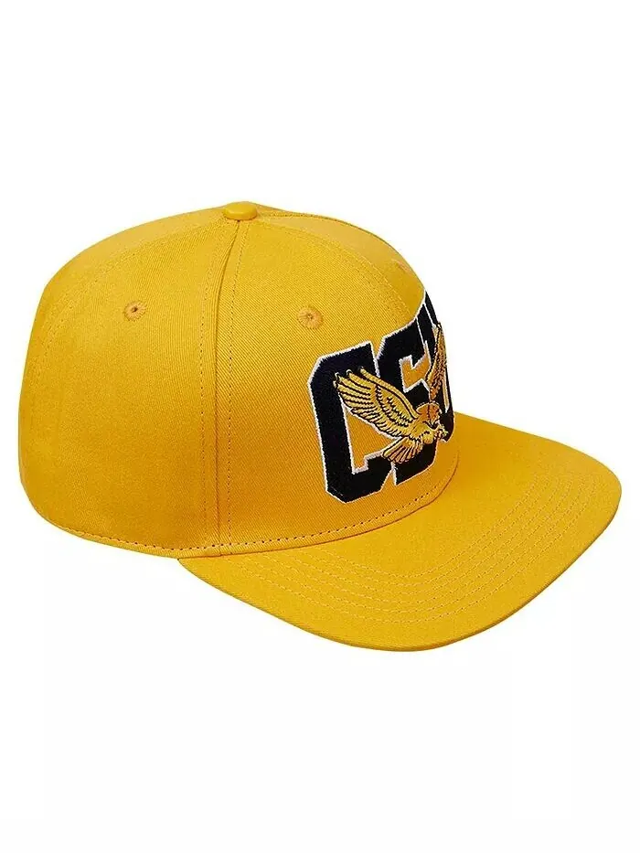 Мужская кепка Snapback Coppin State Eagles Evergreen CSU золотого цвета Pro Standard — изображение 2 из 4
