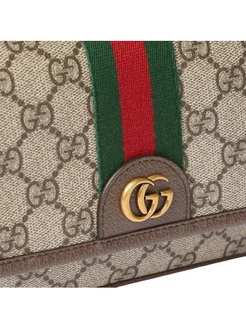 Мини-сумка Gucci 26 Ophidia — 3