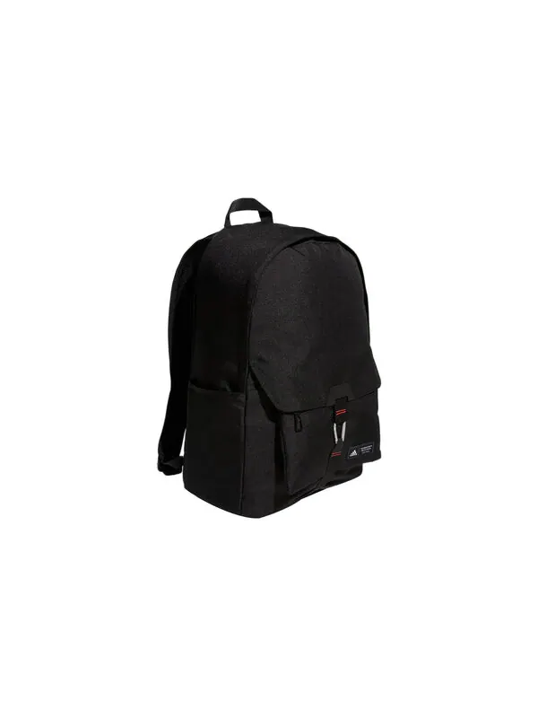 Сумка new 2-in-1 backpack 'black' Adidas — 2