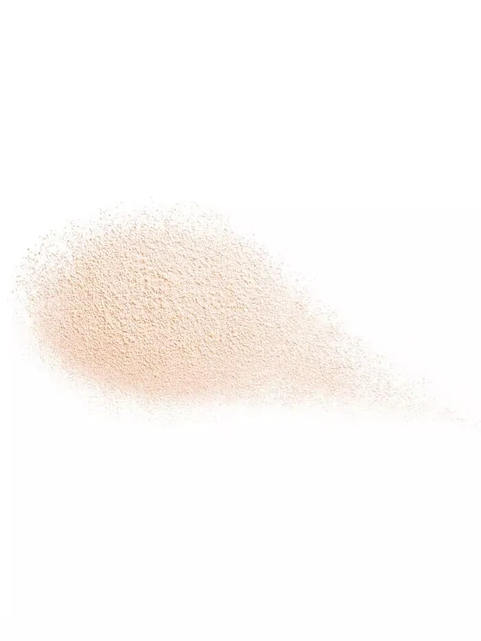 Future Solution LX Total Radiance Рассыпчатая пудра Shiseido — изображение 2 из 3
