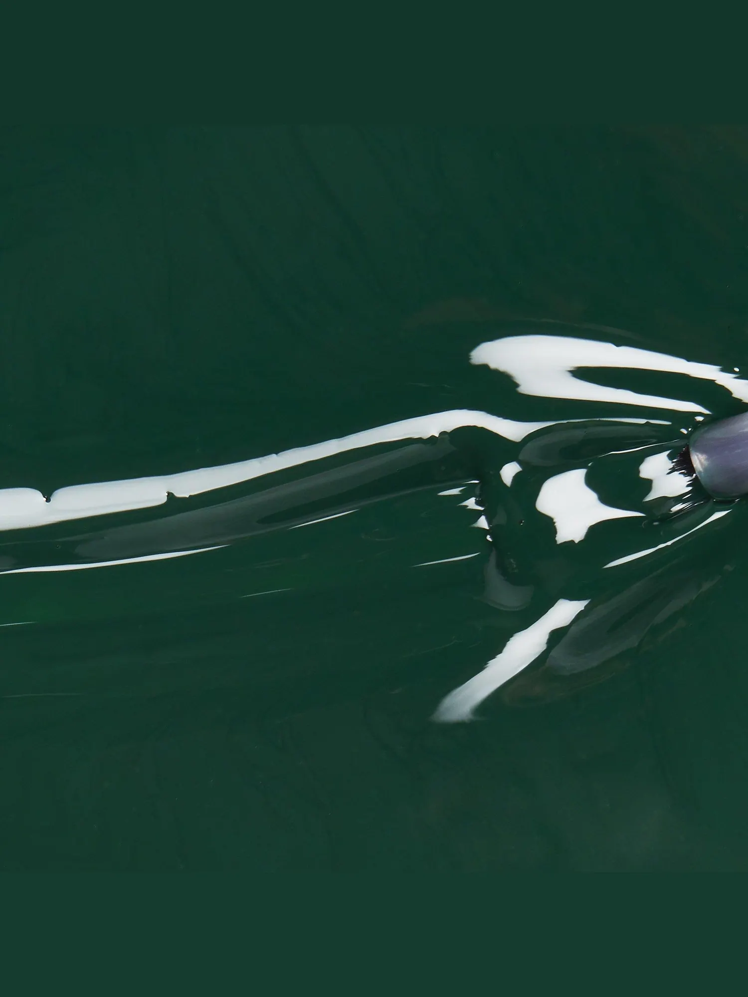 Лак для ногтей China Glaze Mega Pigment Crème Cool Tones, Midnight Pine (forest green), 14 мл — изображение 3 из 4