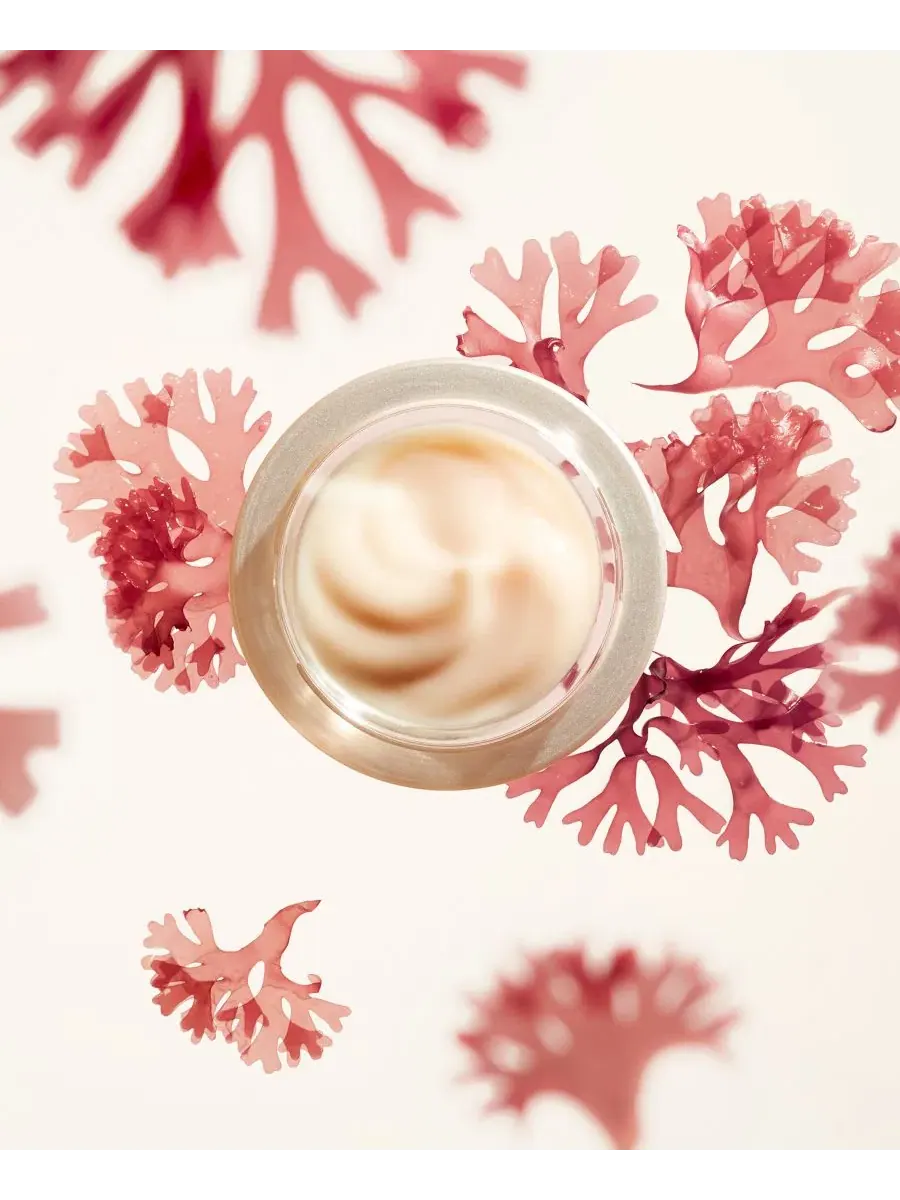 Крем для лица антивозрастной с комплексом KOMBU-Bounce Shiseido Benefiance Wrinkle Smoothing Cream — изображение 7 из 9
