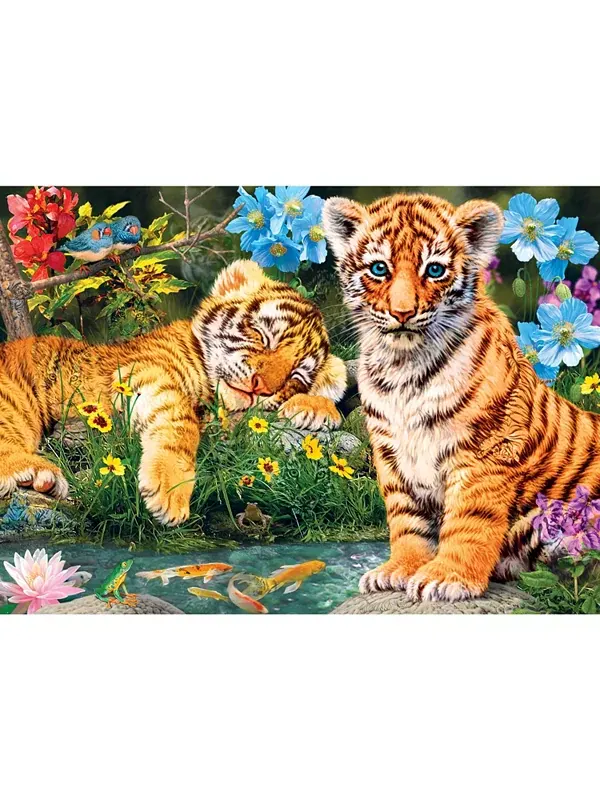 Шедевры скрытых изображений - зоркий глаз. Пазл из 500 деталей. Masterpieces Puzzles — изображение 2 из 3