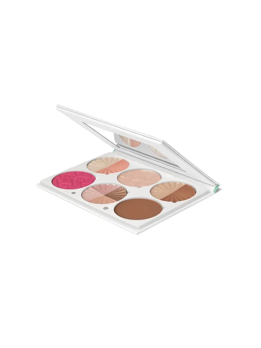 Палитра для лица с румянами, бронзером и хайлайтером, Pro Palette On The Glow Volume II OFRA