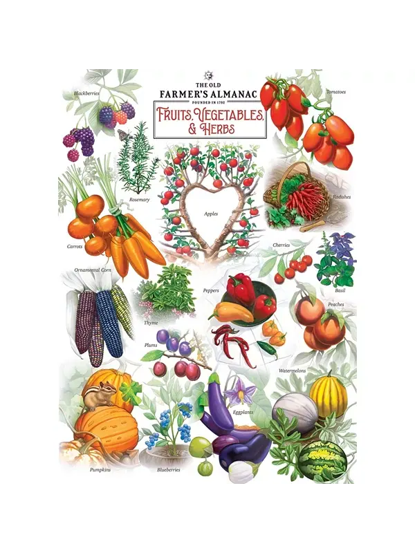 Фермерский альманах — пазл из 1000 деталей «Фрукты, овощи и травы» Masterpieces Puzzles — изображение 2 из 3