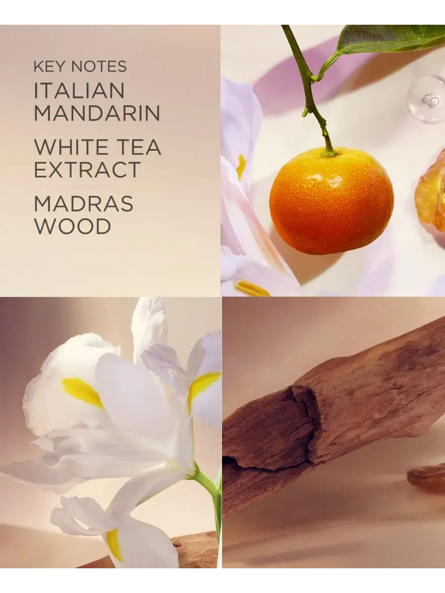 Гель для душа и ванны White Tea Pure Indulgence, 383 г Elizabeth Arden — изображение 3 из 5