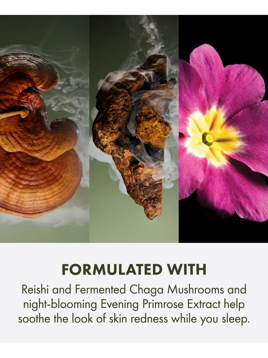Крем для лица Origins — Восстанавливающий ночной Dr. Andrew Weil For Mega-Mushroom — изображение 5 из 7