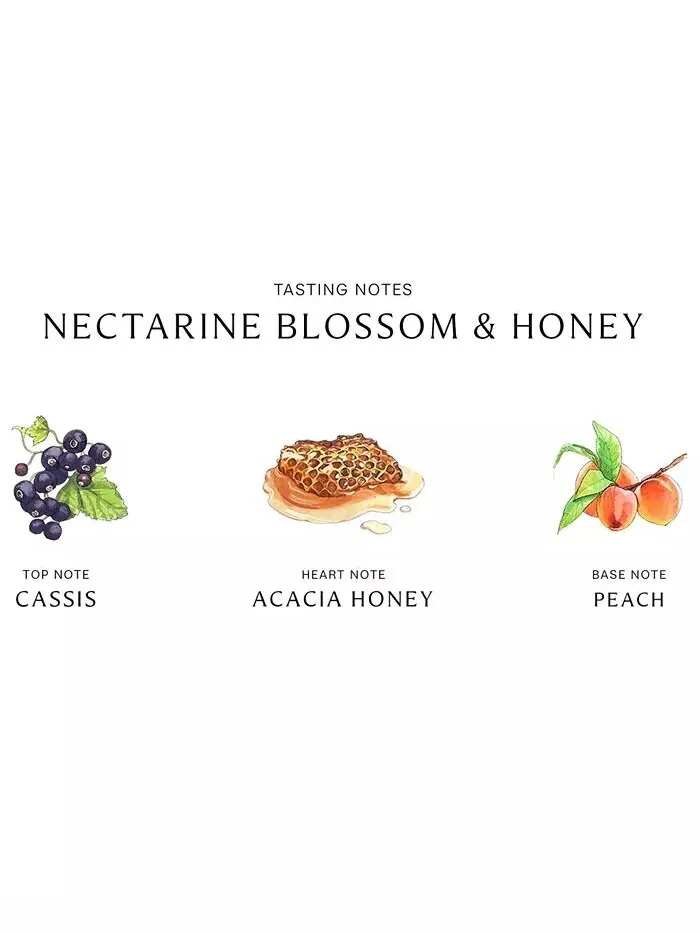 Крем для тела «Цветок нектарина и мед», 5,9 унции Jo Malone London — изображение 2 из 3