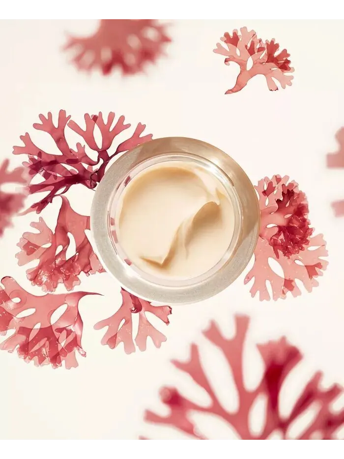 Крем для лица Shiseido — Обогащенный для разглаживания морщин Benefiance — изображение 8 из 9