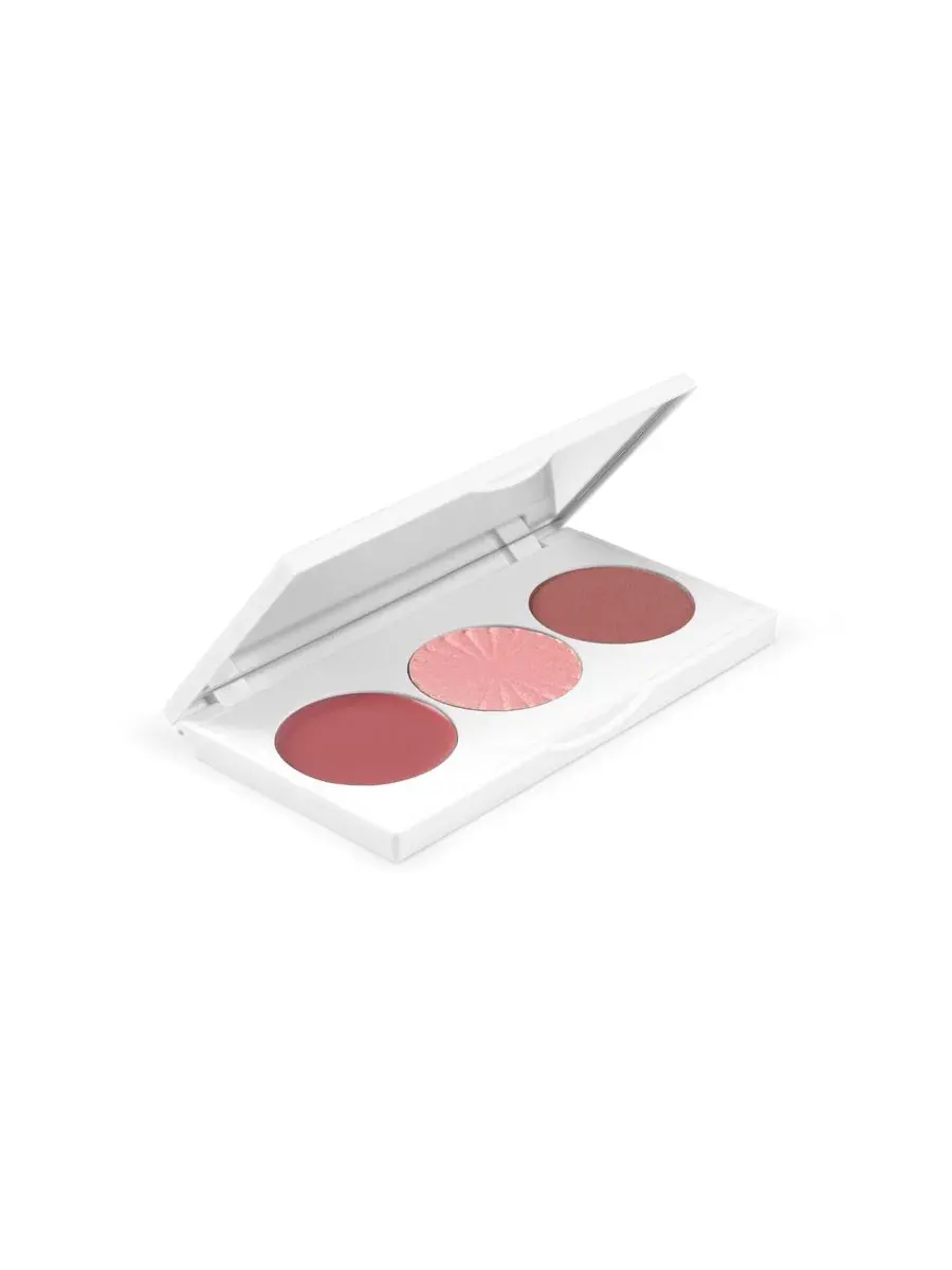 Палетка для щек 3-в-1 Velvet Hues OFRA Cosmetics, Berry-Inspired Velvet Tones — изображение 2 из 3
