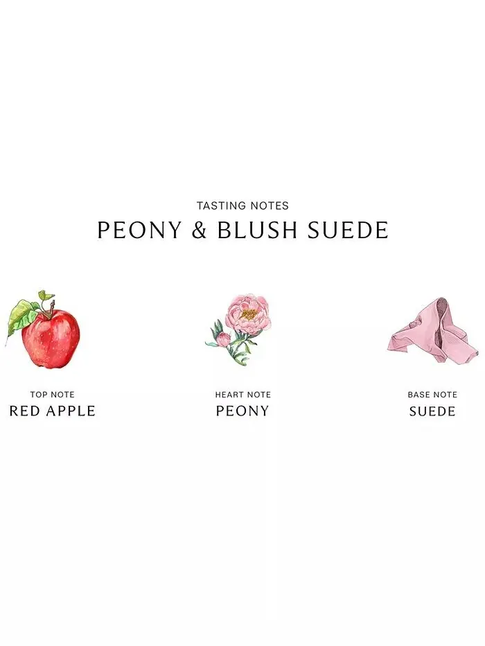 Крем для тела Peony & Blush Suede, 5,9 унции Jo Malone London — изображение 2 из 3