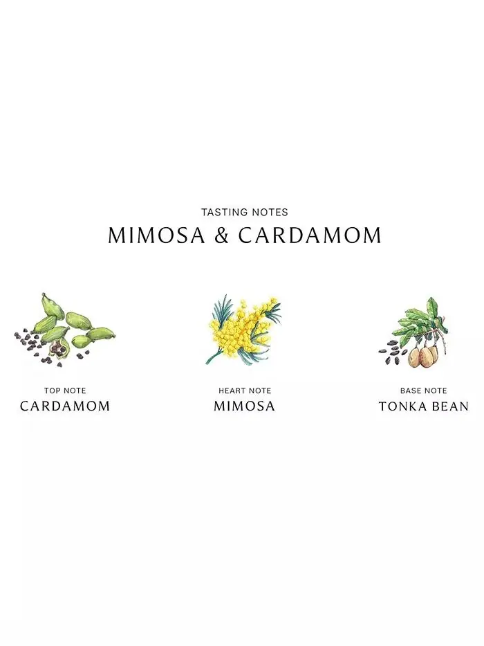 Крем для тела «Мимоза и кардамон», 5,9 унции Jo Malone London — изображение 2 из 3