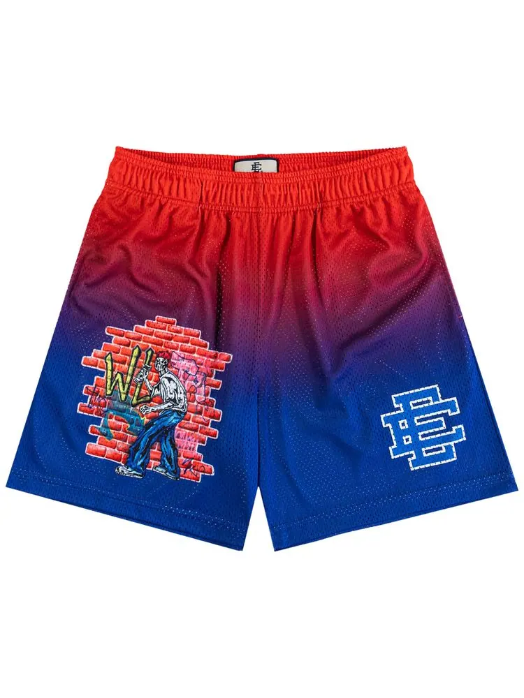 Шорты Eric Emanuel Warren Lotas x Eric Emanuel Basic Short 'Multi'
