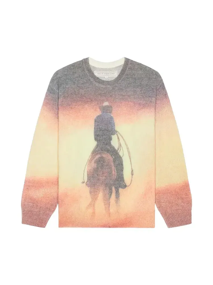 Свитер One Of These Days But That Was A Dream Knit Sweater 'Multicolor' — изображение 1 из 1, мульти