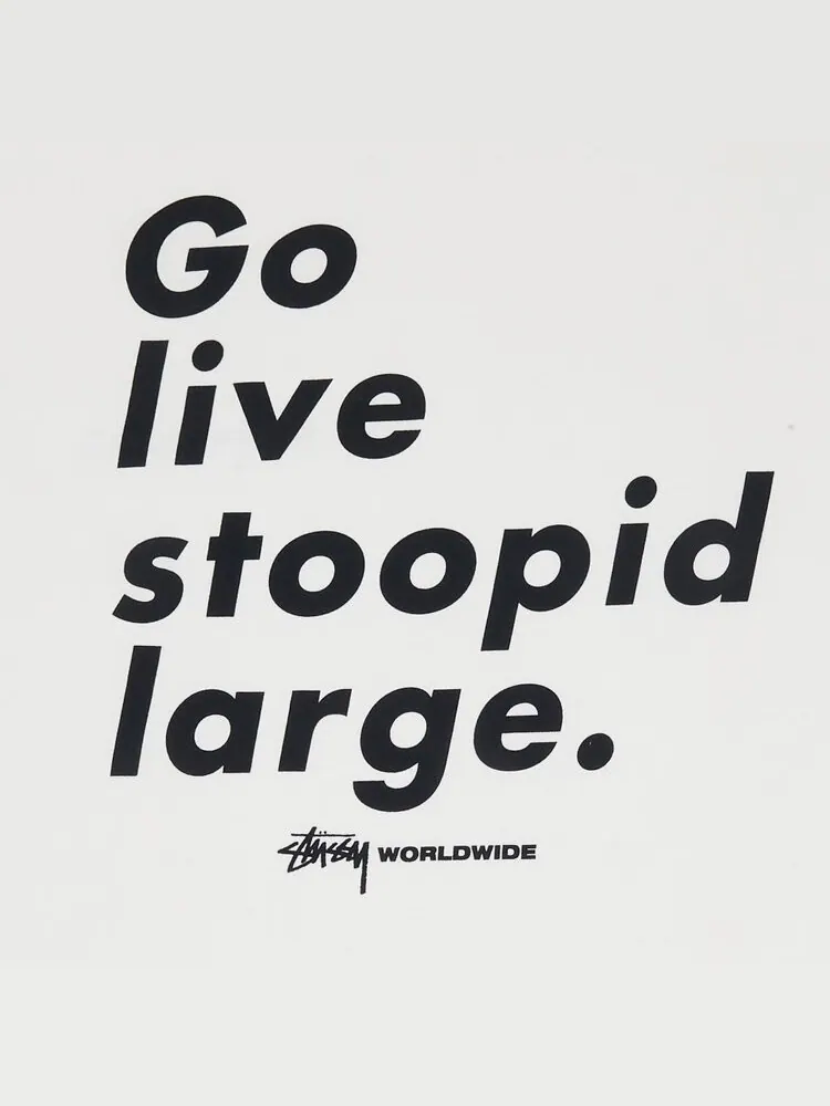 Футболка Stussy Go Live Stoopid Large 'White' — изображение 3 из 3, белый