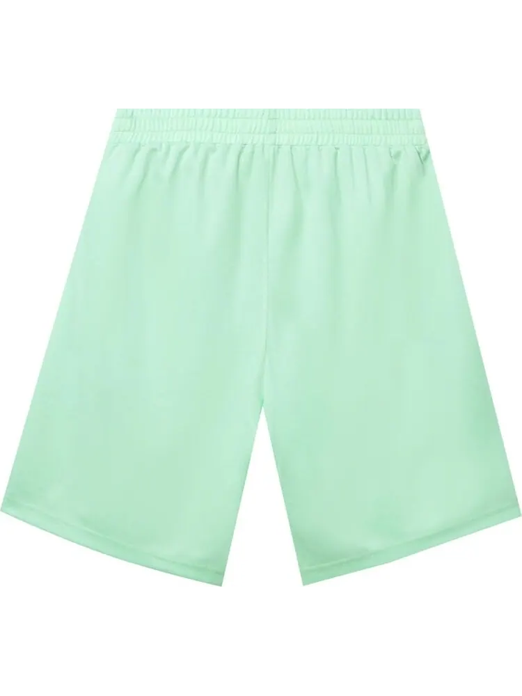 Шорты Anti Social Social Club Never Made The Team Mesh Shorts 'Mint' — изображение 2 из 2, зеленый