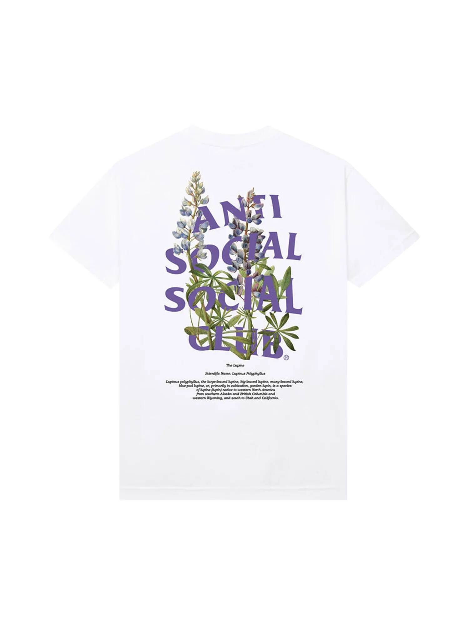 Футболка Anti Social Social Club с люпином — изображение 2 из 2, белый