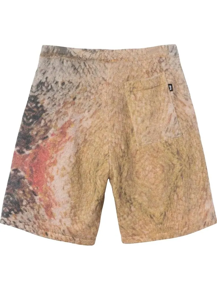 Шорты Stussy Wings Print Knit Short 'Multi' — изображение 2 из 2, мульти