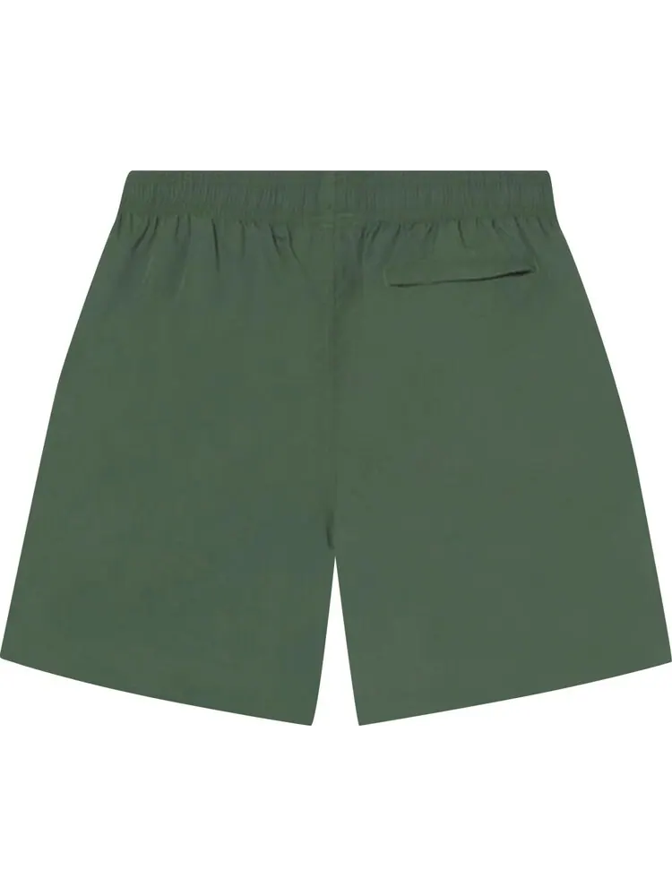 Шорты Stussy Curly S Water Short 'Pine' — изображение 2 из 2, зеленый