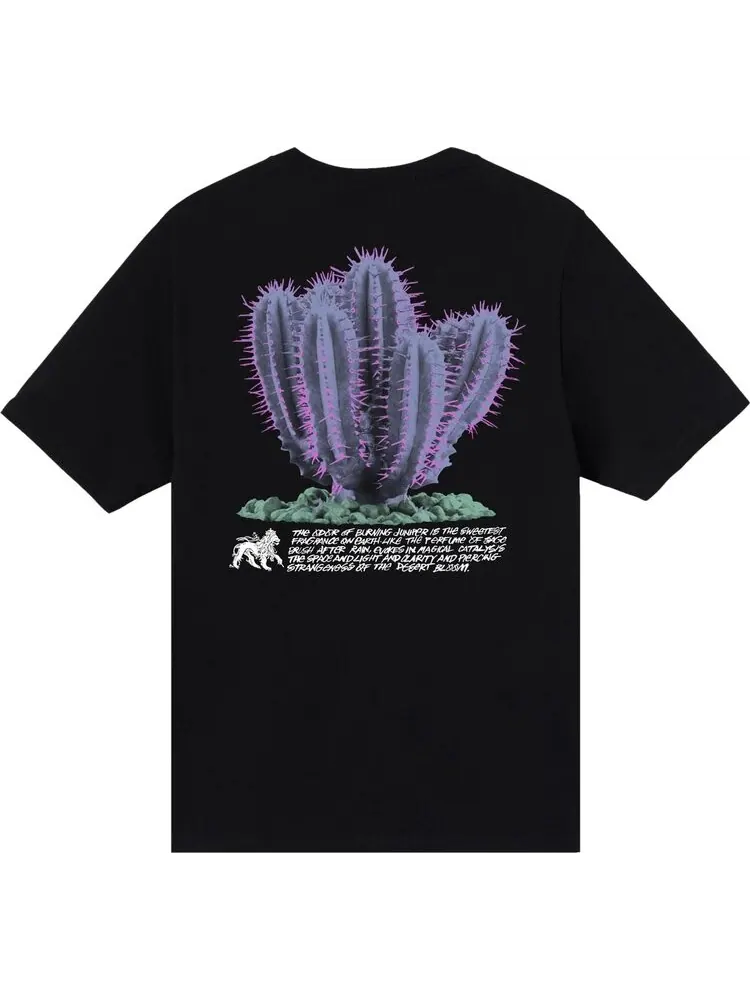 Футболка Stussy Desert Bloom Tee 'Black' — изображение 2 из 2, черный