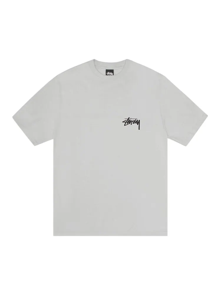 Футболка Stussy Toucan Tee — изображение 1 из 2, туманный