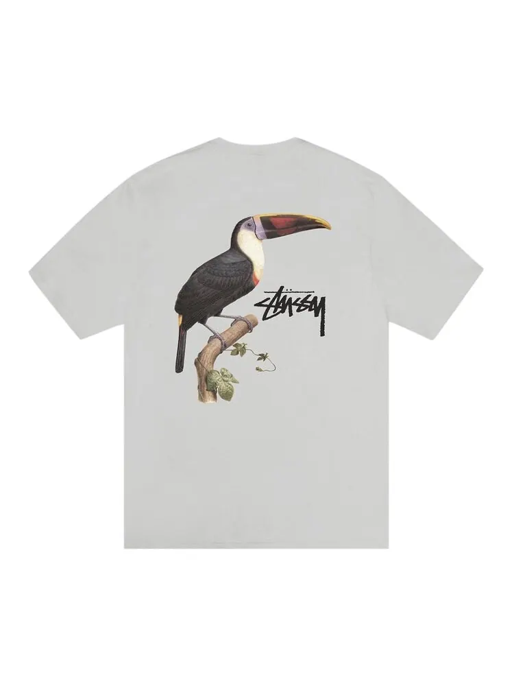 Футболка Stussy Toucan Tee — изображение 2 из 2, туманный